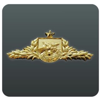 PIN Militar Dourado – Edição Exclusiva